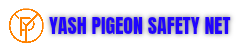 yashpigeonsafetynet